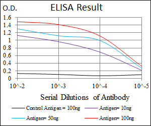 10 - CYP1A1 Antibody AO1662a