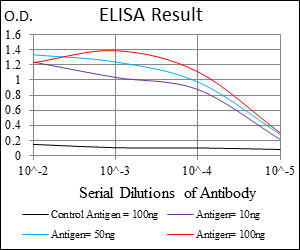 10 - NEFL Antibody AO1663a