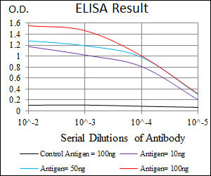 10 - CEBPA Antibody AO1697a