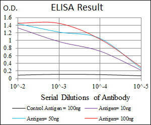 10 - CEBPA Antibody AO1703a