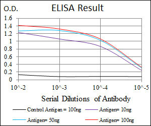 10 - HSP90AA1 Antibody AO1706a