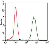 4 - EIF4B Antibody AO1715a