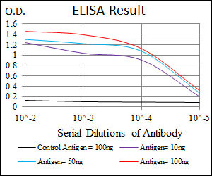 10 - PRKACG Antibody AO1716a