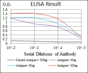 10 - PAX5 Antibody AO1729a