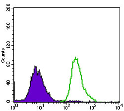 4 - P2RY13 Antibody AO1792a