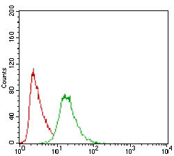 4 - PON1 Antibody AO1873a