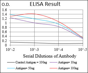 10 - PPP1R1B Antibody AO1894a