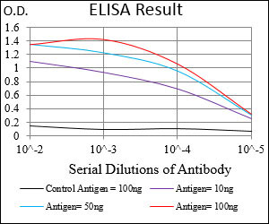 10 - PTPN1 Antibody AO1991a