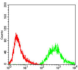4 - PTPN1 Antibody AO1991a