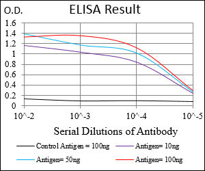 10 - ANPEP Antibody AO1999a