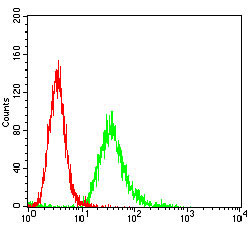 4 - ANPEP Antibody AO1999a