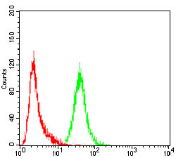 4 - P2RY13 Antibody AO2023a