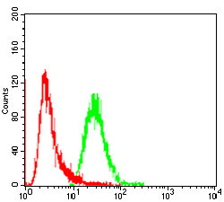 4 - FGFR3 Antibody AO2039a