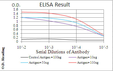 10 - PDPK1 Antibody AO2066a