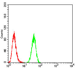 4 - PDPK1 Antibody AO2066a