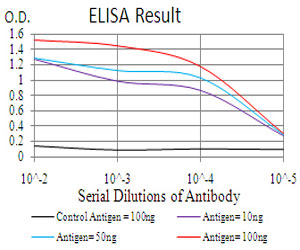 10 - CBX6 Antibody AO2075a
