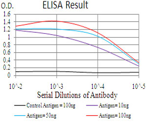 10 - THAP1 Antibody AO2078a