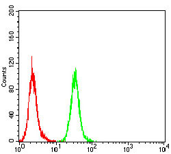4 - GAD2 Antibody AO2101a