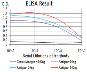 10 - SIRT6 Antibody AO2114a