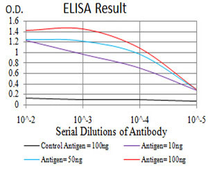 10 - SIRT6 Antibody AO2153a