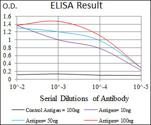 10 - SLC2A4 Antibody AO2244a