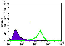 4 - SLC2A4 Antibody AO2244a