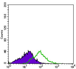 4 - ITGA2B Antibody AO2319a