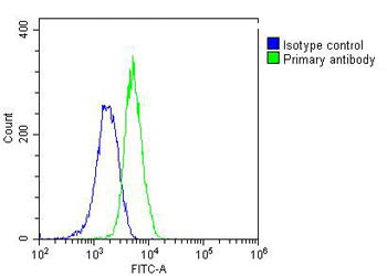 4 - RAB5C Antibody AM8520b