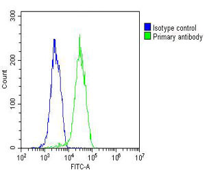 4 - PLIN3 Antibody AM8697b