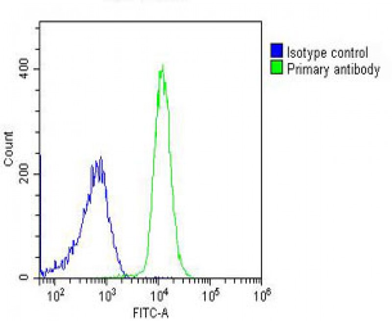 4 - PIGC Antibody (C-Term) AP22091b