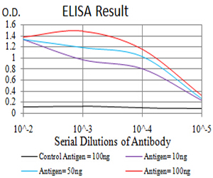 10 - Mouse Monoclonal Antibody to KRT19 AO2460a