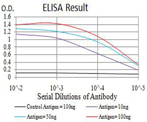 10 - Mouse Monoclonal Antibody to BRD2 AO2481a