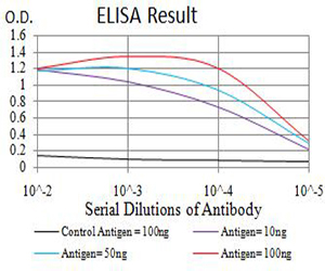 10 - Mouse Monoclonal Antibody to BRD2 AO2482a
