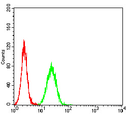 4 - Mouse Monoclonal Antibody to BRD2 AO2482a