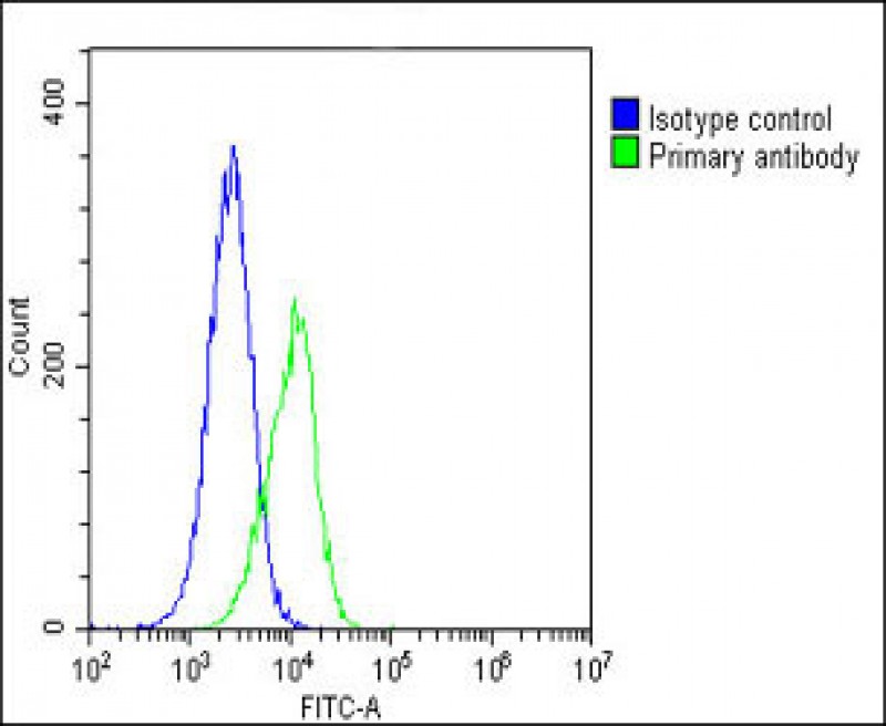 4 - PCSK1 Antibody (C-Term) AP22139b
