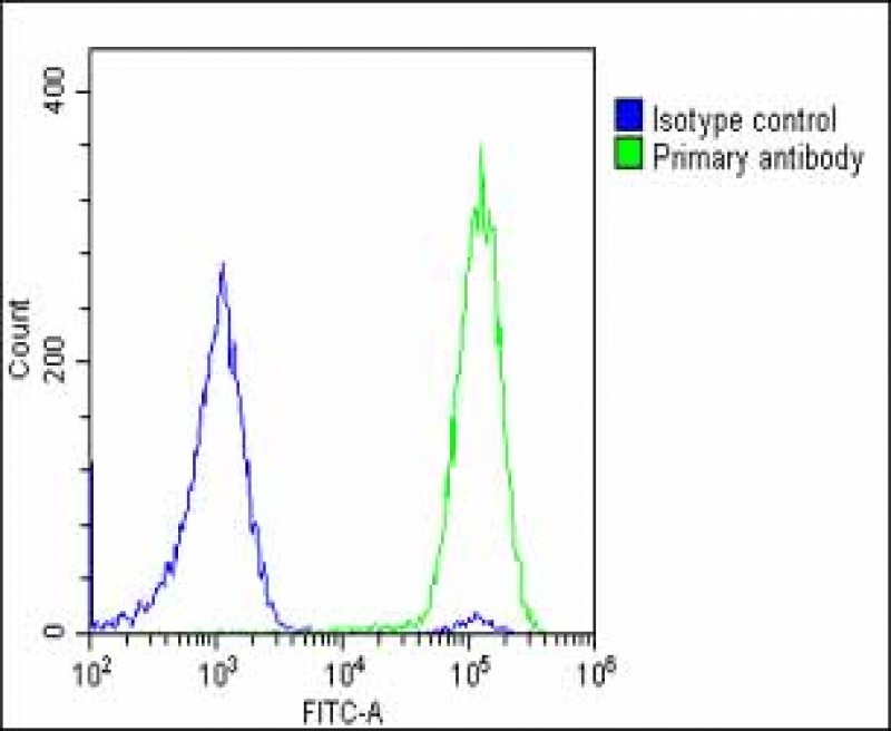4 - SLC2A8 Antibody (Center) AP22138c