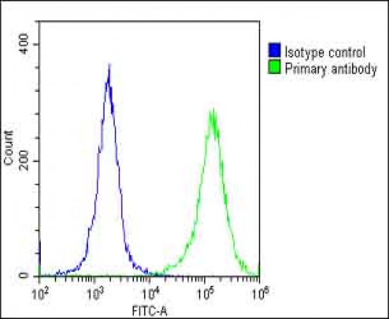 4 - Villin-1 Antibody (N-term) AP6774a