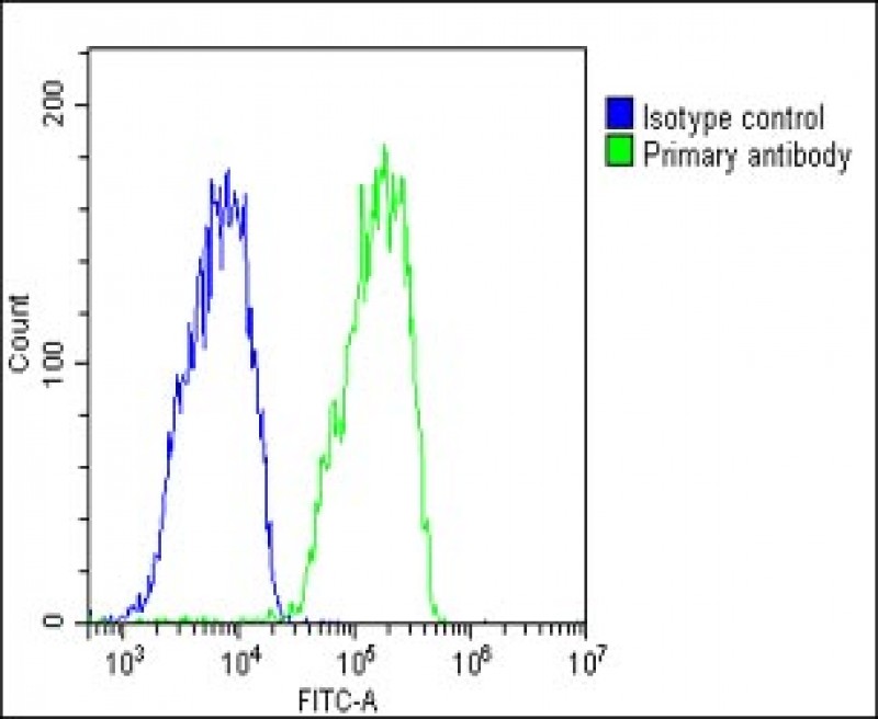 4 - RARRES2 Antibody (Center) AP22233c