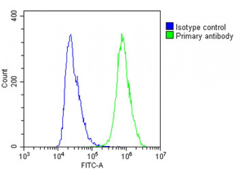 4 - NSFL1C Antibody (N-Term) AP22235a