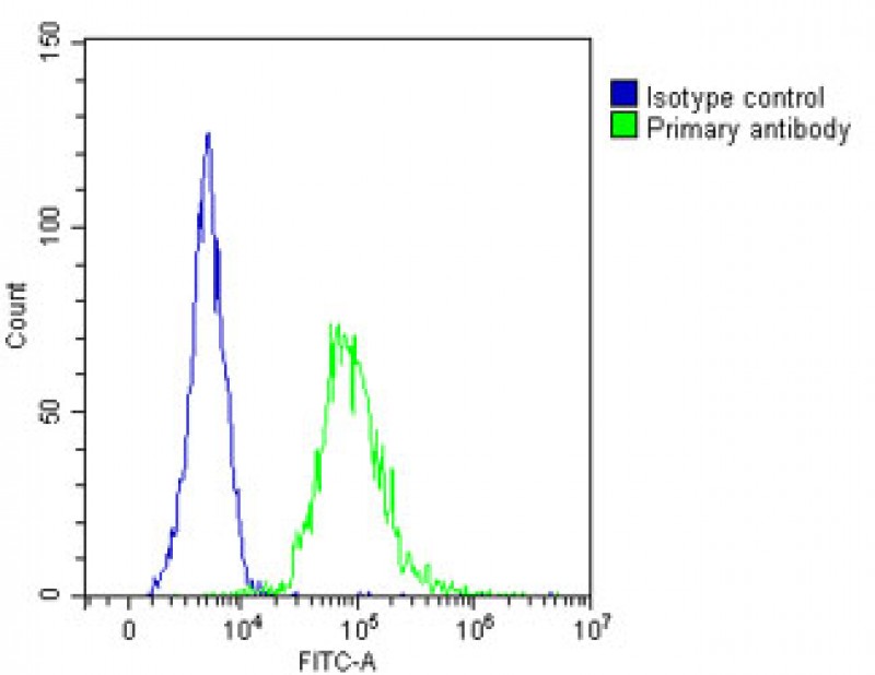 4 - ST8SIA1 Antibody (N-Term) AP22258a