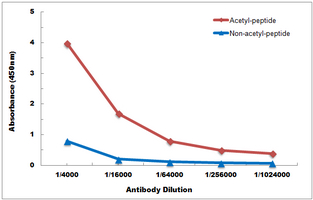 10 - Anti-Histone H2A (AcK9) Antibody AP61491
