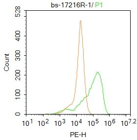4 - KAAG1 Rabbit pAb AP56611