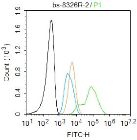 4 - Hi95 Rabbit pAb AP58966