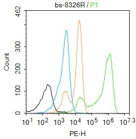 4 - Hi95 Rabbit pAb AP58966