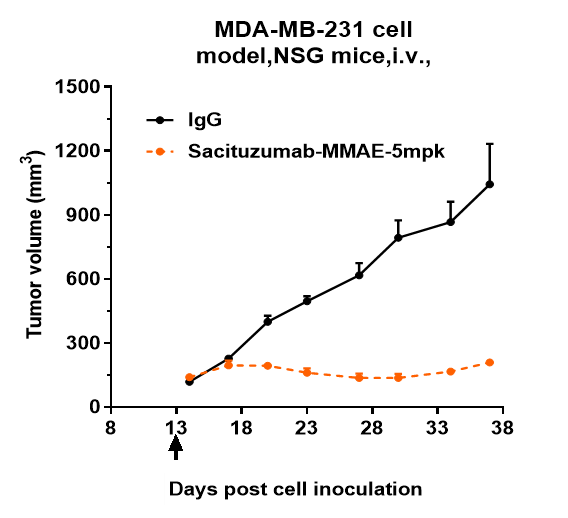 1 - Anti-TROP2 Reference Antibody (Sacituzumab-MMAE) APR11066