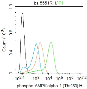 1 - phospho-AMPK alpha-1 (Thr183) Rabbit pAb AP94703