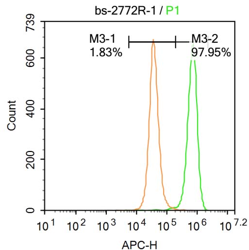 0 - KLF2 Rabbit pAb AP50863