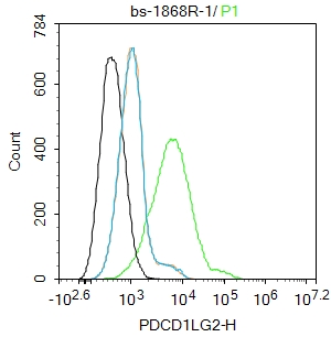 0 - PDCD1LG2 Rabbit pAb AP50869