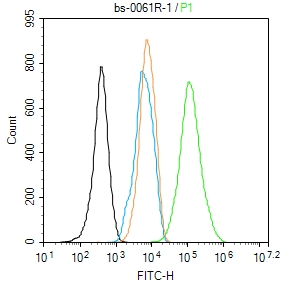 0 - beta-Actin Rabbit pAb, Loading Control AP50879
