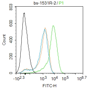 0 - ATF4 Rabbit pAb AP52146